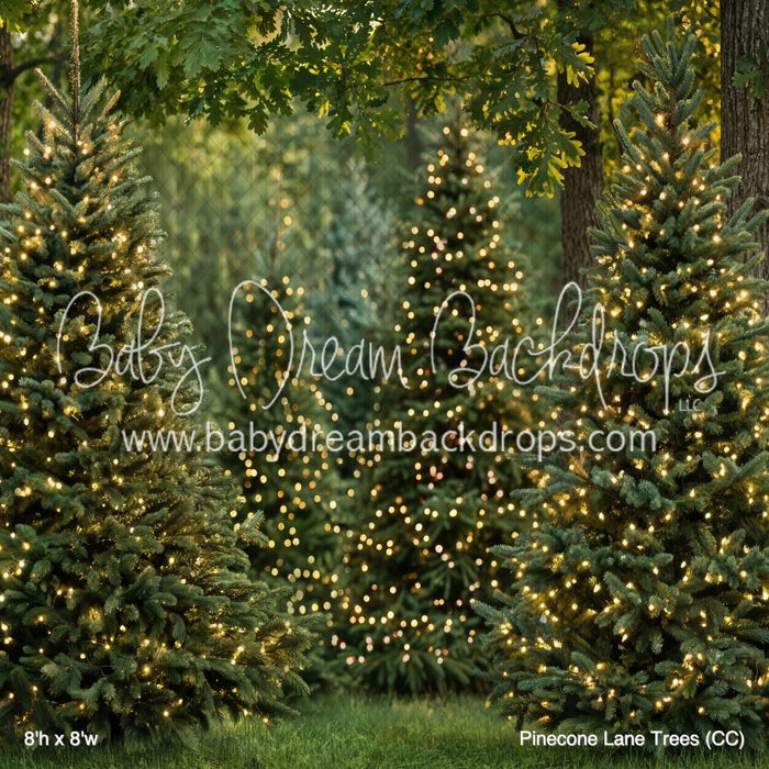 Pinecone Lane Trees (CC)