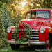 Pinecone Lane Truck (CC)