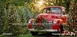 Pinecone Lane Truck (CC)