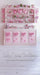 Pink Kitchen Cabinet Sweep (WM)