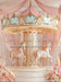 Pink Pirouette Carousel (WM)