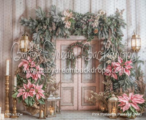 Pink Poinsettia Passage (WM)