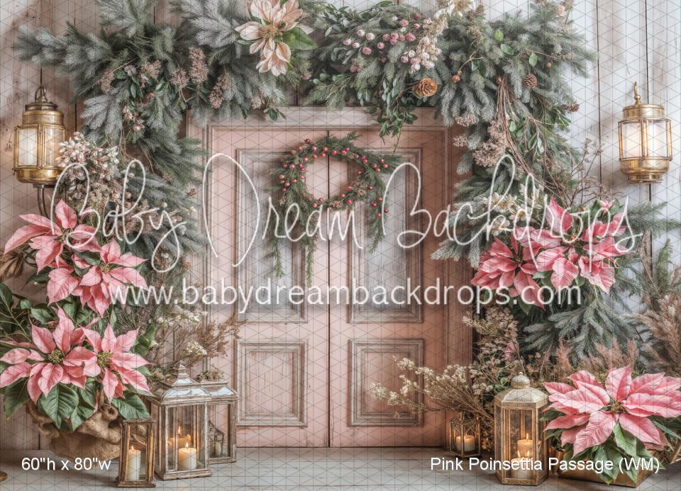 Pink Poinsettia Passage (WM)