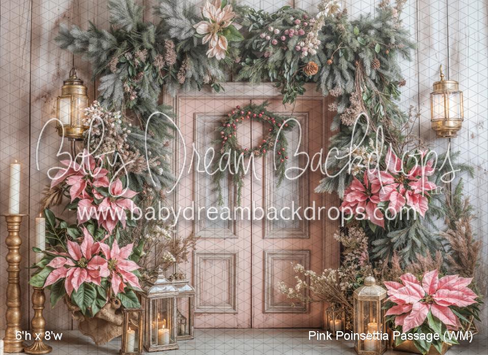Pink Poinsettia Passage (WM)
