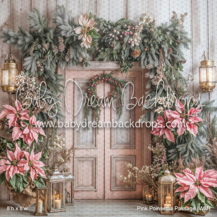 Pink Poinsettia Passage (WM)