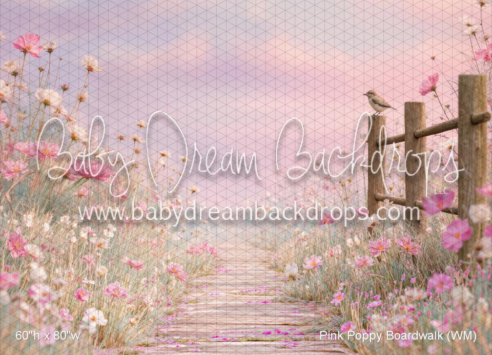 Pink Poppy Boardwalk (WM)