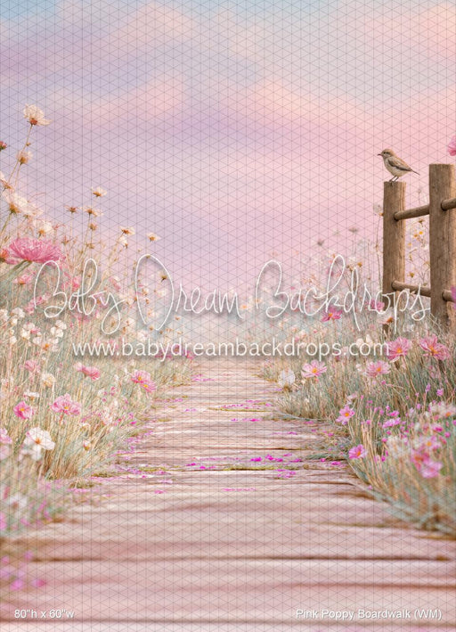 Pink Poppy Boardwalk (WM)