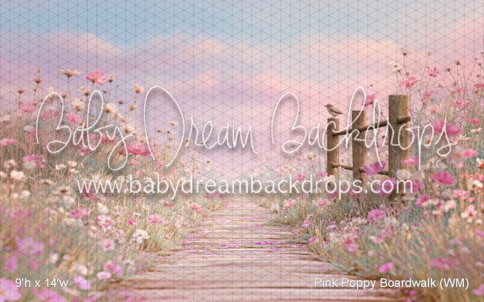 Pink Poppy Boardwalk (WM)