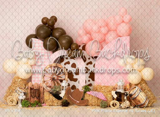 Pink Prairie Explorer no horses (JE)