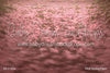 Pink Spring Fabric Floor (VR)