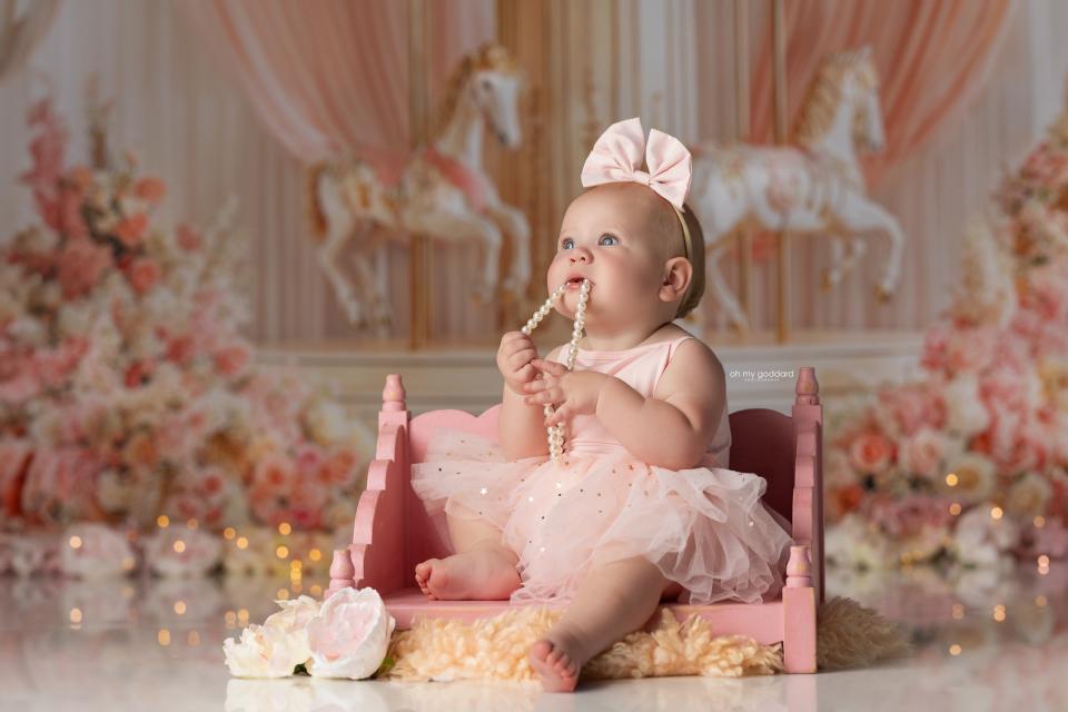 Pink Pirouette Carousel (WM)