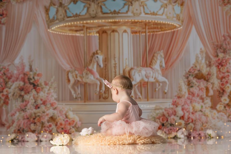 Pink Pirouette Carousel (WM)