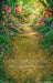 Pixie Hollow Sweep (WM)