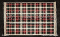 Plaid and Pines Rug (JA)