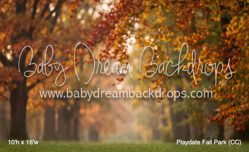 Playdate Fall Park (CC)