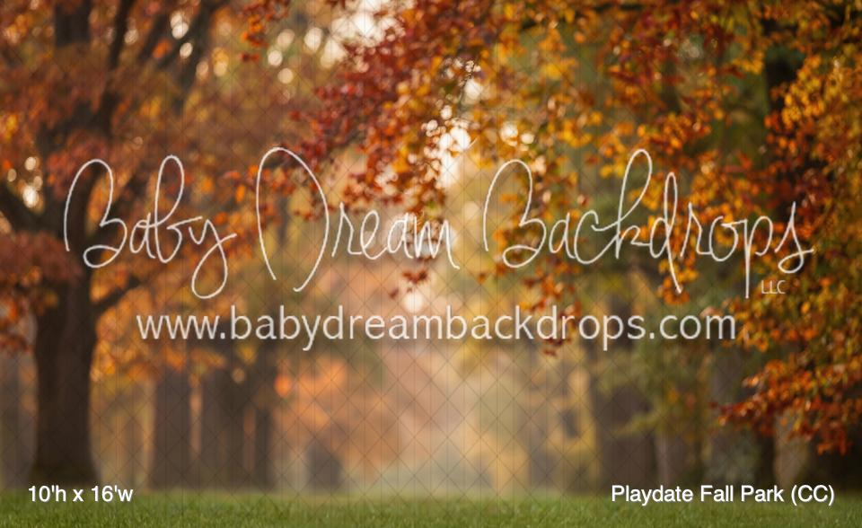 Playdate Fall Park (CC)