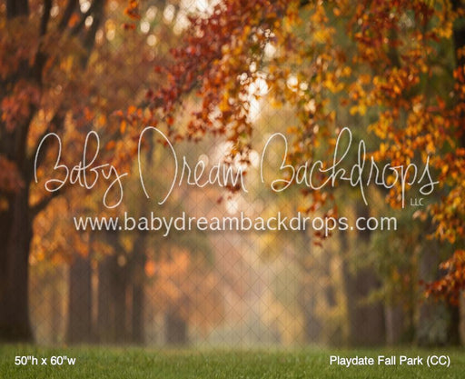 Playdate Fall Park (CC)