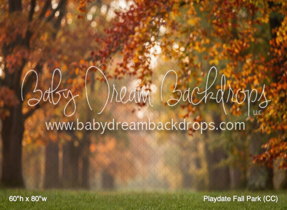 Playdate Fall Park (CC)