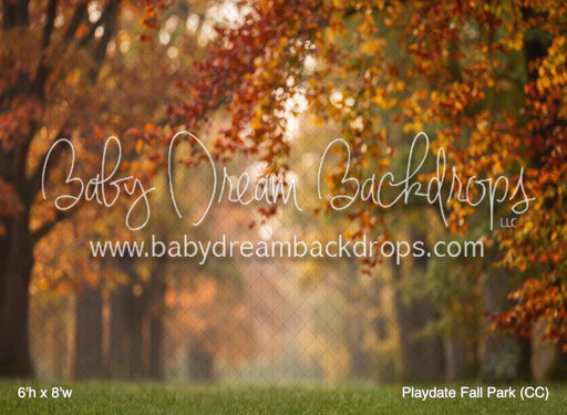 Playdate Fall Park (CC)