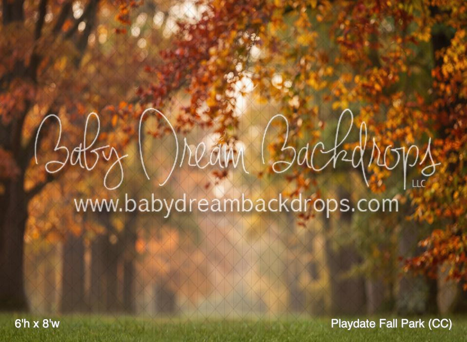 Playdate Fall Park (CC)