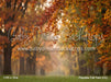 Playdate Fall Park (CC)