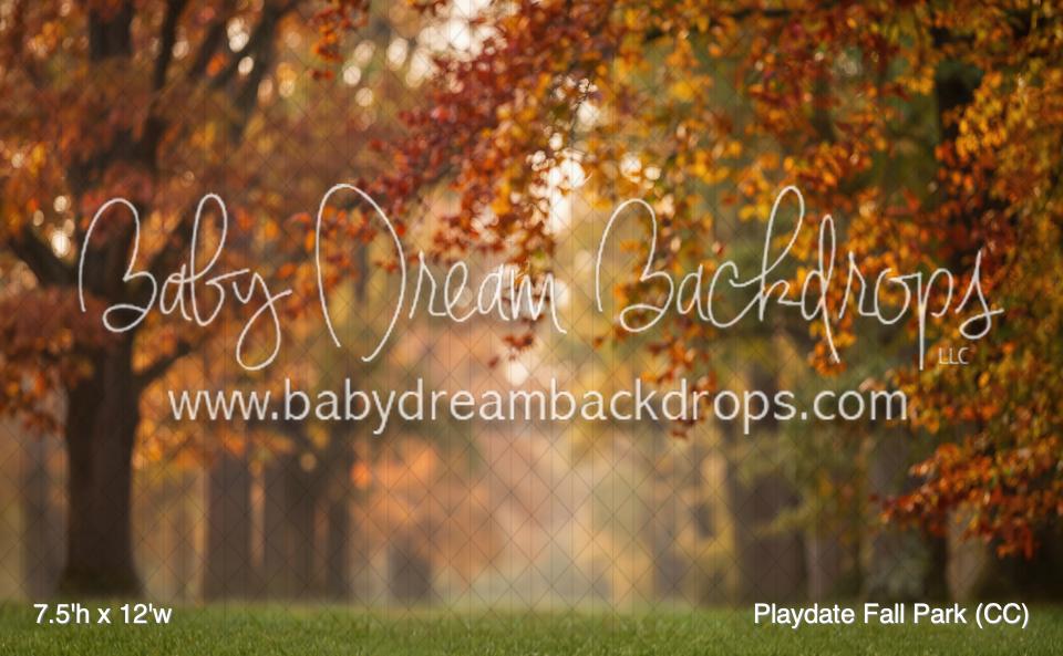 Playdate Fall Park (CC)
