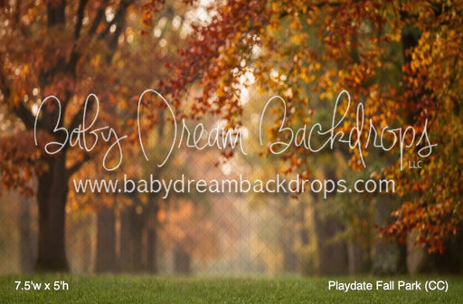 Playdate Fall Park (CC)