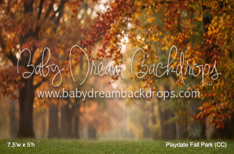 Playdate Fall Park (CC)