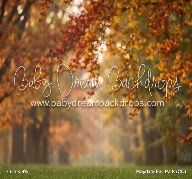 Playdate Fall Park (CC)