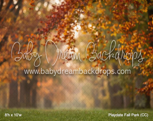 Playdate Fall Park (CC)