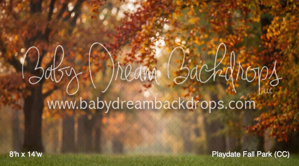 Playdate Fall Park (CC)
