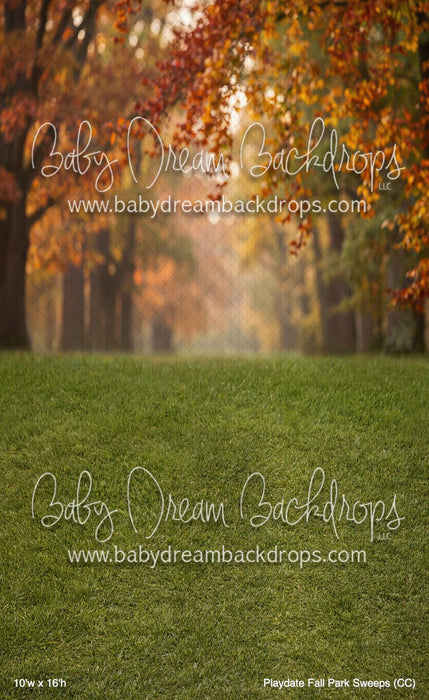 Playdate Fall Park Sweeps (CC)