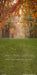 Playdate Fall Park Sweeps (CC)