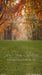 Playdate Fall Park Sweeps (CC)