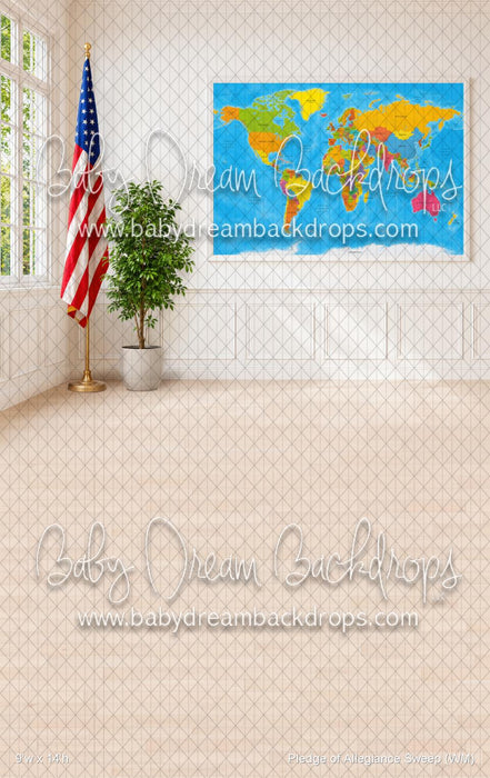 Pledge of Allegiance Sweep (WM)