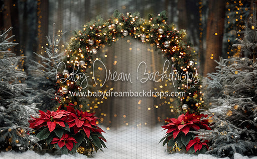 Poinesttia Pine Arch (JA)