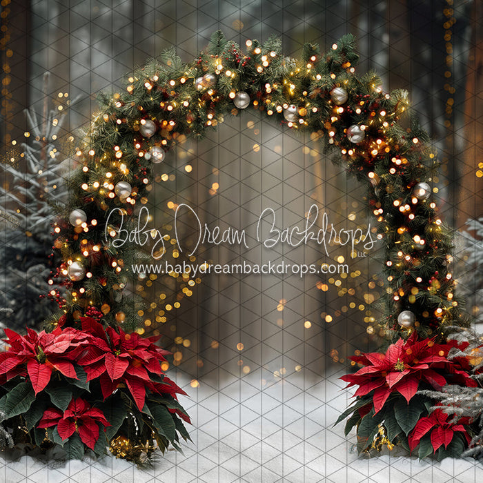 Poinesttia Pine Arch (JA)