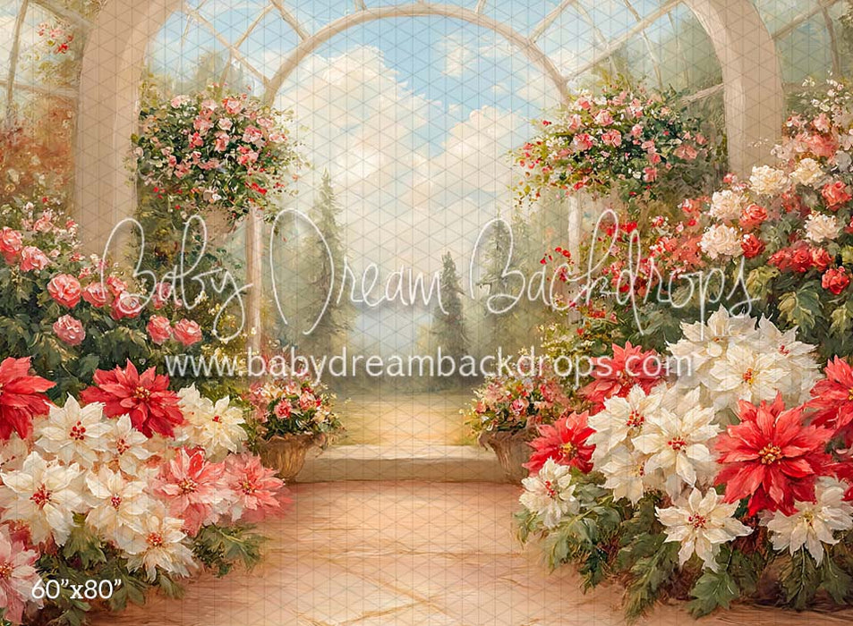 Poinsettia Greenhouse (CM)