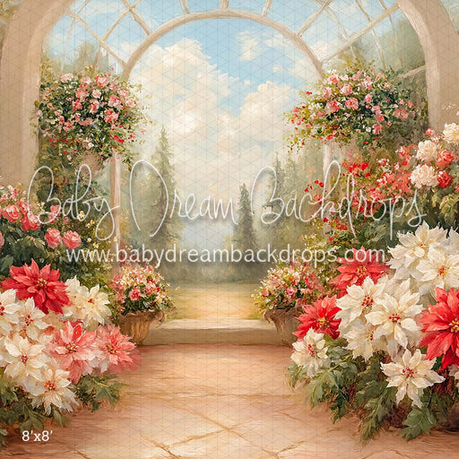 Poinsettia Greenhouse (CM)