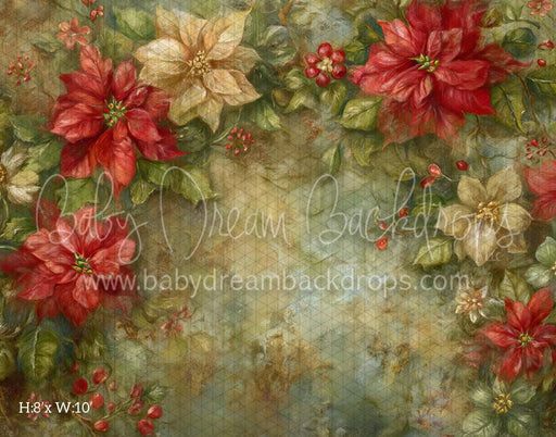 Poinsettia Grunge (CM)