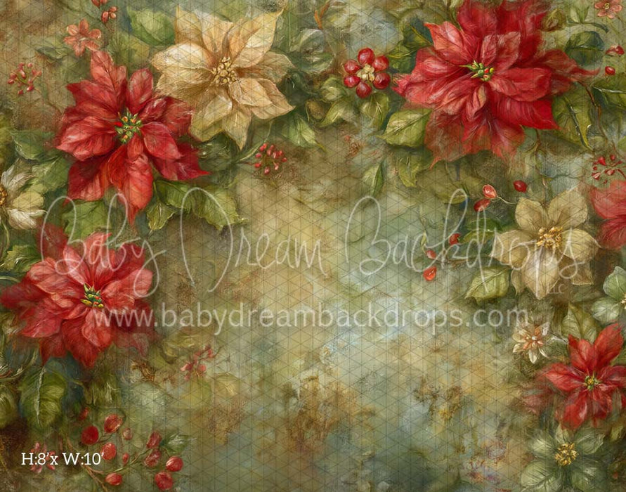 Poinsettia Grunge (CM)