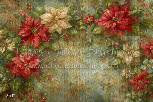 Poinsettia Grunge (CM)