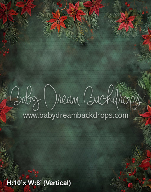 Poinsettia Jubilee (WM)