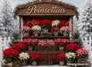 Poinsettia Market (MI)