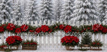 Poinsettia Market Fence (MI)