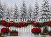 Poinsettia Market Fence (MI)