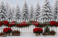 Poinsettia Market Fence (MI)