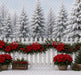 Poinsettia Market Fence (MI)