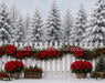 Poinsettia Market Fence (MI)