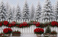 Poinsettia Market Fence (MI)